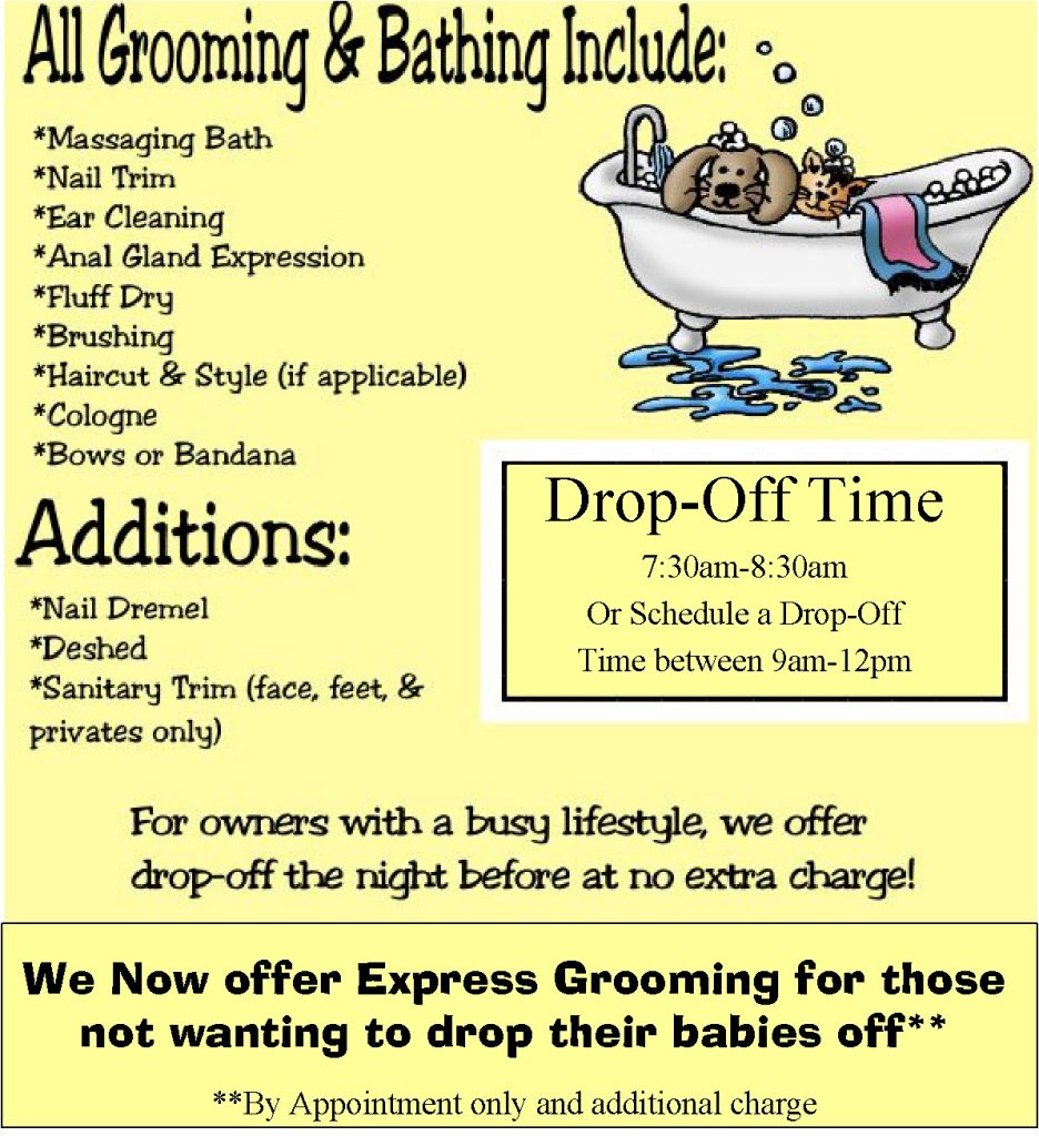 Pet Grooming In Virginia Beach, VA Abbey Animal Hospital