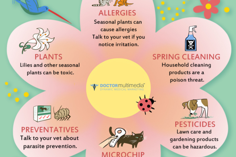 Spring Pet Care Safety