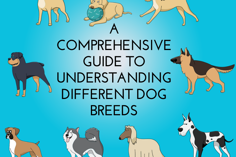 A Comprehensive Guide to Understanding Different Dog Breeds